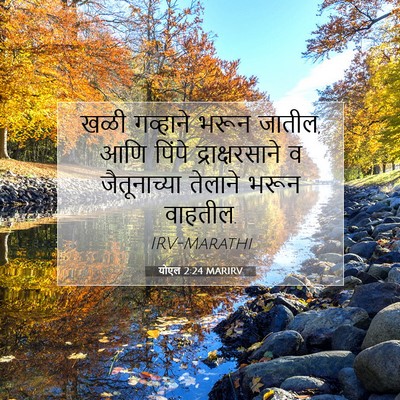 Picture 07 - योएल 2:24 MARIRV - खळी गव्हाने भरून - Bible Verse Picture