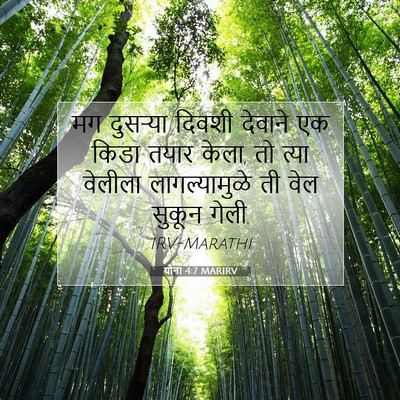 Picture 07 - योना 4:7 MARIRV - मग दुसऱ्या दिवशी - Bible Verse Picture