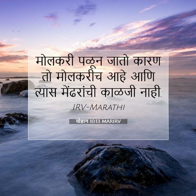 Picture 07 - योहान 10:13 MARIRV - मोलकरी पळून जातो - Bible Verse Picture