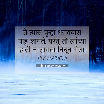 Picture 07 - योहान 10:39 MARIRV - ते त्यास पुन्हा - Bible Verse Picture