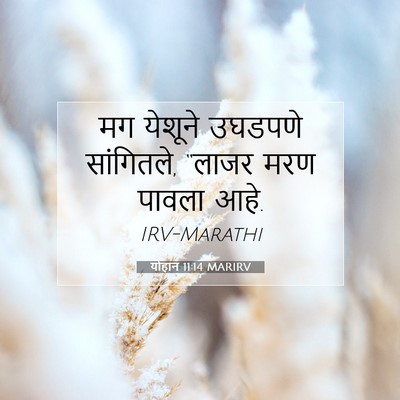 Picture 07 - योहान 11:14 MARIRV - मग येशूने उघडपणे - Bible Verse Picture