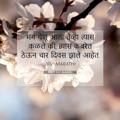 Picture 07 - योहान 11:17 MARIRV - मग येशू आला तेव्हा - Bible Verse Picture