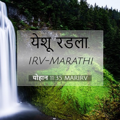 Picture 07 - योहान 11:35 MARIRV - येशू - Bible Verse Picture