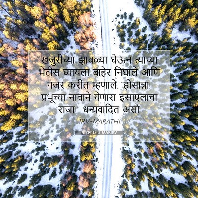 Picture 07 - योहान 12:13 MARIRV - खजुरीच्या झावळ्या - Bible Verse Picture
