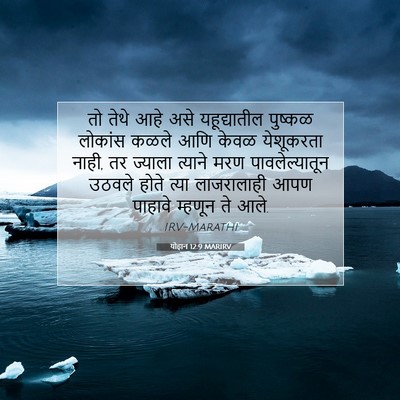 Picture 07 - योहान 12:9 MARIRV - तो तेथे आहे असे - Bible Verse Picture