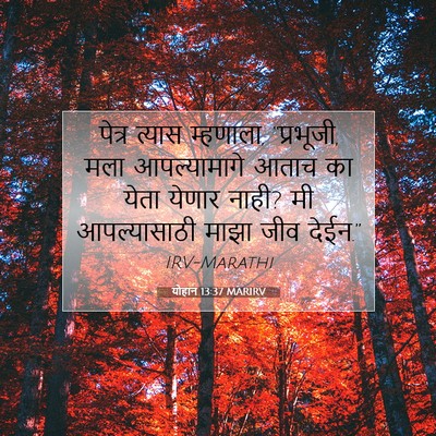 Picture 07 - योहान 13:37 MARIRV - पेत्र त्यास - Bible Verse Picture