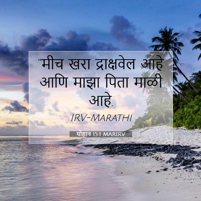 Picture 07 - योहान 15:1 MARIRV - “मीच खरा - Bible Verse Picture