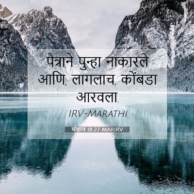 Picture 07 - योहान 18:27 MARIRV - पेत्राने पुन्हा - Bible Verse Picture