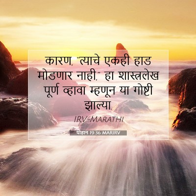Picture 07 - योहान 19:36 MARIRV - कारण, “त्याचे एकही - Bible Verse Picture
