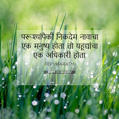 Picture 07 - योहान 3:1 MARIRV - परूश्यांपैकी - Bible Verse Picture