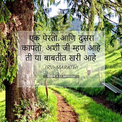 Picture 07 - योहान 4:37 MARIRV - ‘एक पेरतो आणि - Bible Verse Picture
