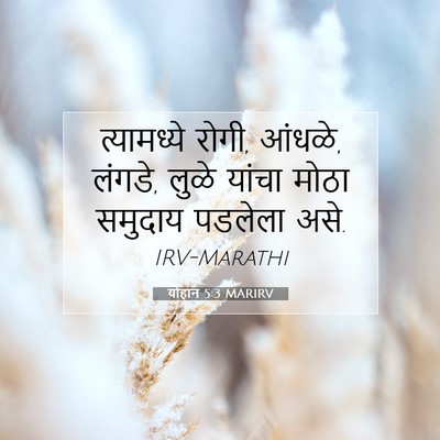 Picture 07 - योहान 5:3 MARIRV - त्यामध्ये रोगी, - Bible Verse Picture