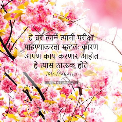 Picture 07 - योहान 6:6 MARIRV - हे तर त्याने - Bible Verse Picture