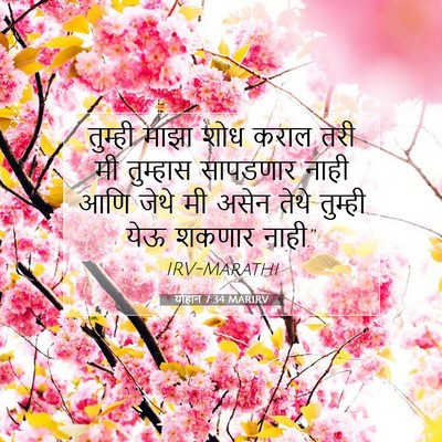 Picture 07 - योहान 7:34 MARIRV - तुम्ही माझा शोध - Bible Verse Picture