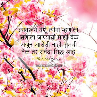 Picture 07 - योहान 7:6 MARIRV - त्यावरून येशू - Bible Verse Picture