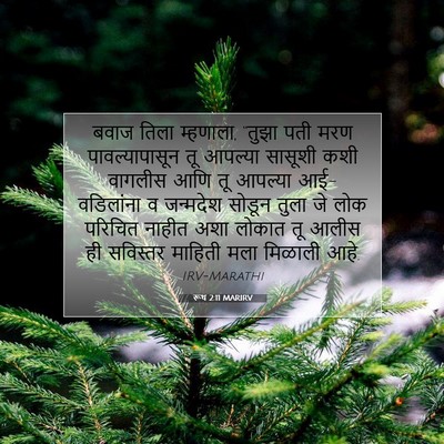 Picture 07 - रूथ 2:11 MARIRV - बवाज तिला म्हणाला, - Bible Verse Picture