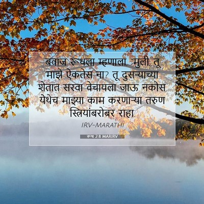 Picture 07 - रूथ 2:8 MARIRV - बवाज रूथला - Bible Verse Picture