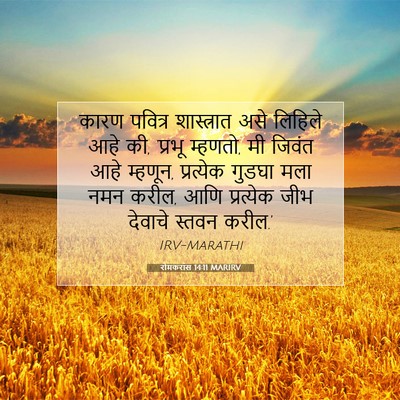 Picture 07 - रोमकरांस 14:11 MARIRV - कारण पवित्र - Bible Verse Picture