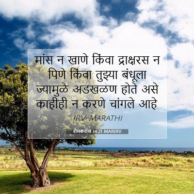 Picture 07 - रोमकरांस 14:21 MARIRV - मांस न खाणे किंवा - Bible Verse Picture