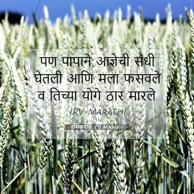 Picture 07 - रोमकरांस 7:11 MARIRV - पण पापाने आज्ञेची - Bible Verse Picture