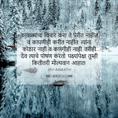Picture 07 - लूक 12:24 MARIRV - कावळ्यांचा विचार - Bible Verse Picture