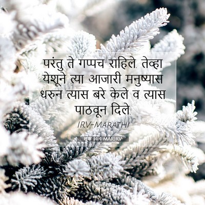 Picture 07 - लूक 14:4 MARIRV - परंतु ते गप्पच - Bible Verse Picture