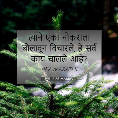 Picture 07 - लूक 15:26 MARIRV - त्याने एका - Bible Verse Picture