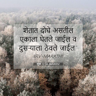 Picture 07 - लूक 17:36 MARIRV - शेतात दोघे असतील - Bible Verse Picture