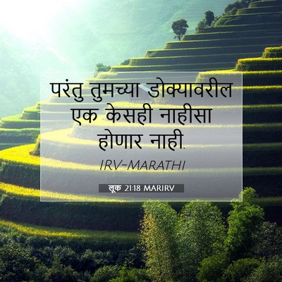 Picture 07 - लूक 21:18 MARIRV - परंतु तुमच्या - Bible Verse Picture