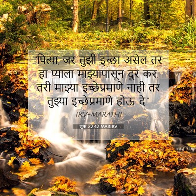 Picture 07 - लूक 22:42 MARIRV - “पित्या, जर तुझी - Bible Verse Picture