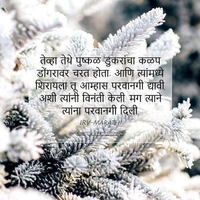 Picture 07 - लूक 8:32 MARIRV - तेव्हा तेथे - Bible Verse Picture