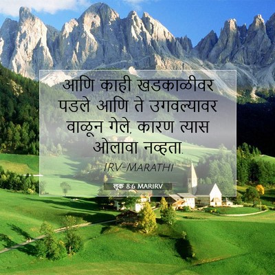 Picture 07 - लूक 8:6 MARIRV - आणि काही खडकाळीवर - Bible Verse Picture