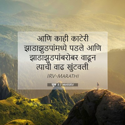Picture 07 - लूक 8:7 MARIRV - आणि काही काटेरी - Bible Verse Picture