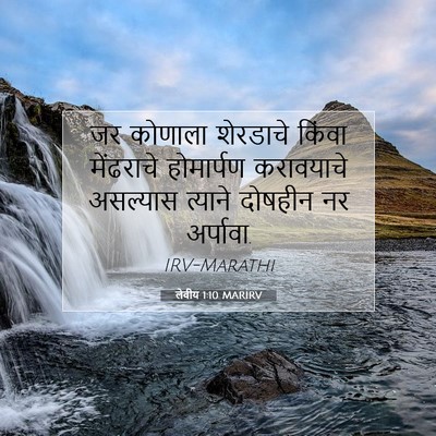 Picture 07 - लेवीय 1:10 MARIRV - जर कोणाला शेरडाचे - Bible Verse Picture