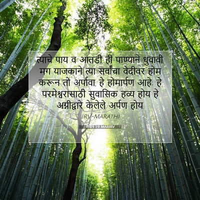 Picture 07 - लेवीय 1:9 MARIRV - त्याचे पाय व आतडी - Bible Verse Picture