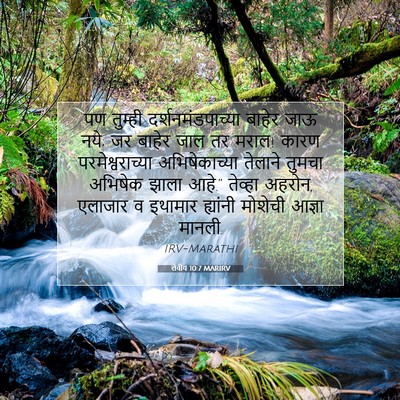 Picture 07 - लेवीय 10:7 MARIRV - पण तुम्ही - Bible Verse Picture