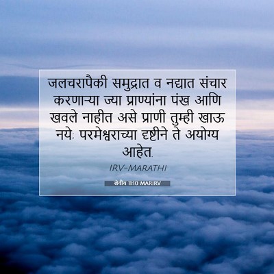 Picture 07 - लेवीय 11:10 MARIRV - जलचरापैकी - Bible Verse Picture