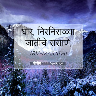 Picture 07 - लेवीय 11:14 MARIRV - घार, निरनिराळ्या - Bible Verse Picture