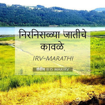 Picture 07 - लेवीय 11:15 MARIRV - निरनिराळ्या - Bible Verse Picture