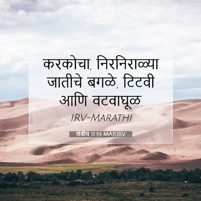 Picture 07 - लेवीय 11:19 MARIRV - करकोचा, - Bible Verse Picture