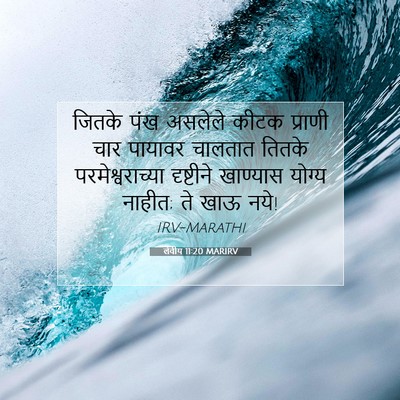 Picture 07 - लेवीय 11:20 MARIRV - जितके पंख असलेले - Bible Verse Picture