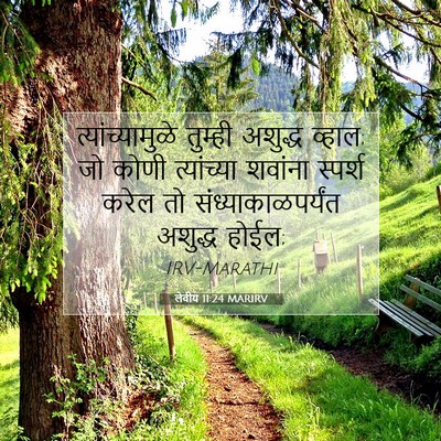 Picture 07 - लेवीय 11:24 MARIRV - त्यांच्यामुळे - Bible Verse Picture