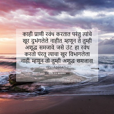 Picture 07 - लेवीय 11:4 MARIRV - काही प्राणी रवंथ - Bible Verse Picture