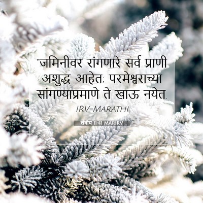 Picture 07 - लेवीय 11:41 MARIRV - “जमिनीवर रांगणारे - Bible Verse Picture