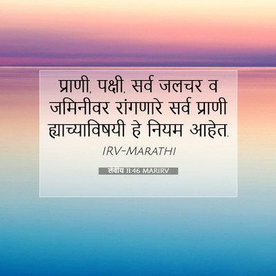 Picture 07 - लेवीय 11:46 MARIRV - प्राणी, पक्षी, सर्व - Bible Verse Picture