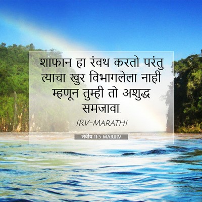 Picture 07 - लेवीय 11:5 MARIRV - शाफान हा रंवथ करतो - Bible Verse Picture