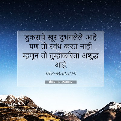 Picture 07 - लेवीय 11:7 MARIRV - डुकराचे खूर - Bible Verse Picture