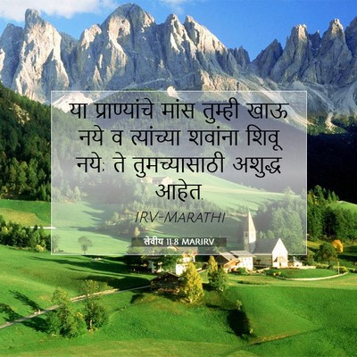 Picture 07 - लेवीय 11:8 MARIRV - या प्राण्यांचे - Bible Verse Picture