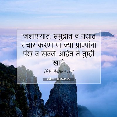Picture 07 - लेवीय 11:9 MARIRV - “जलाशयात, - Bible Verse Picture