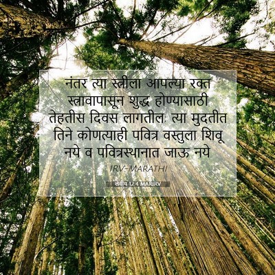 Picture 07 - लेवीय 12:4 MARIRV - नंतर त्या - Bible Verse Picture
